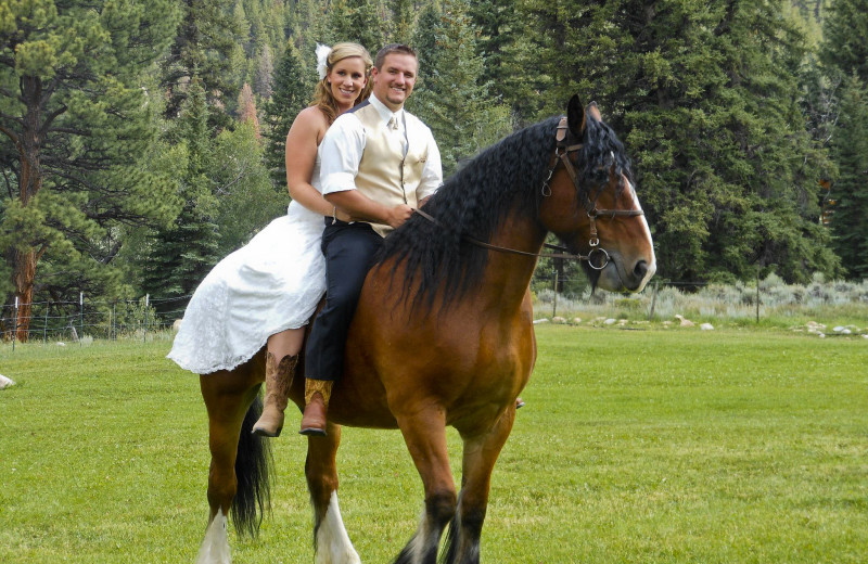 Wedding couple on horse at Harmels Ranch Resort.