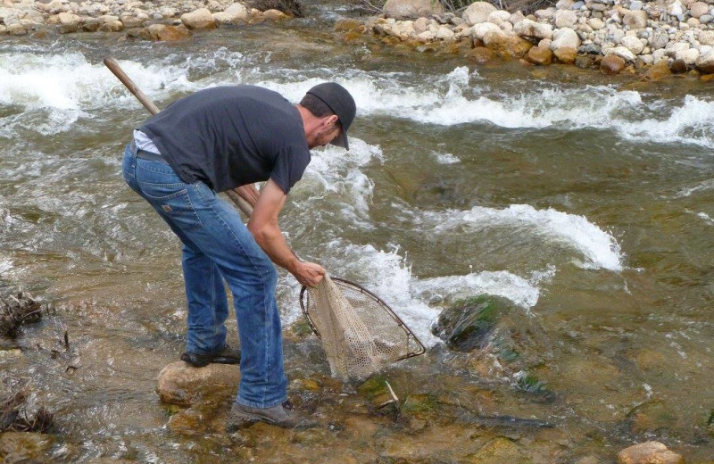 Fishing by the river at Workshire Lodge.