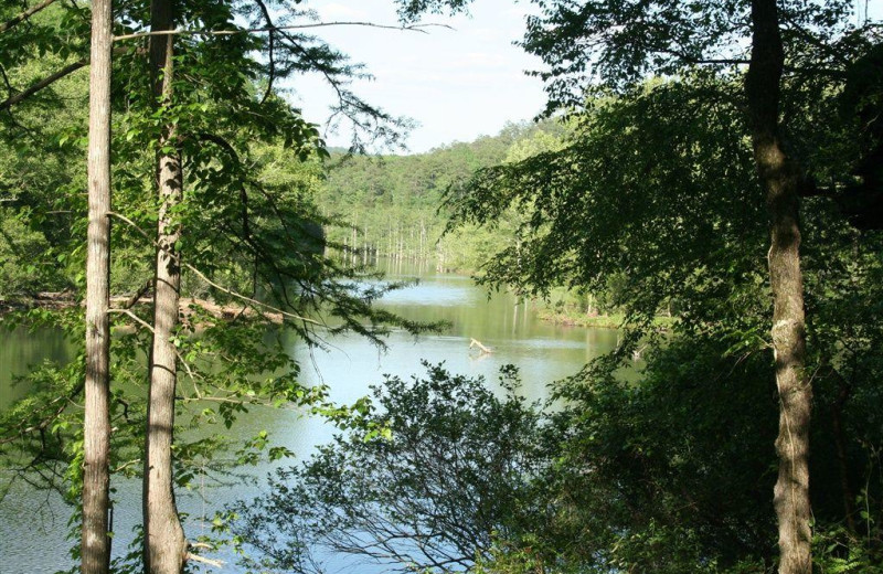 Lake view at Lake Mountain Cabins.