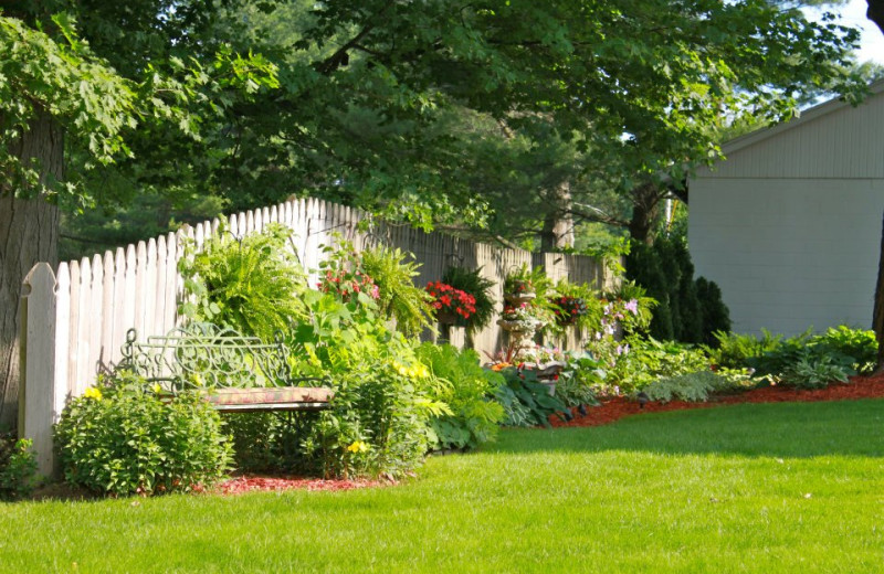 Garden at The Kingsley House.