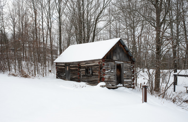 Old cabin at Myers Cave Resort.