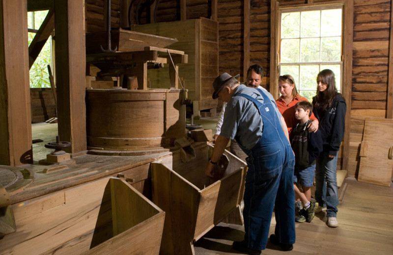 Grinding corn near Folkestone Inn B&B.