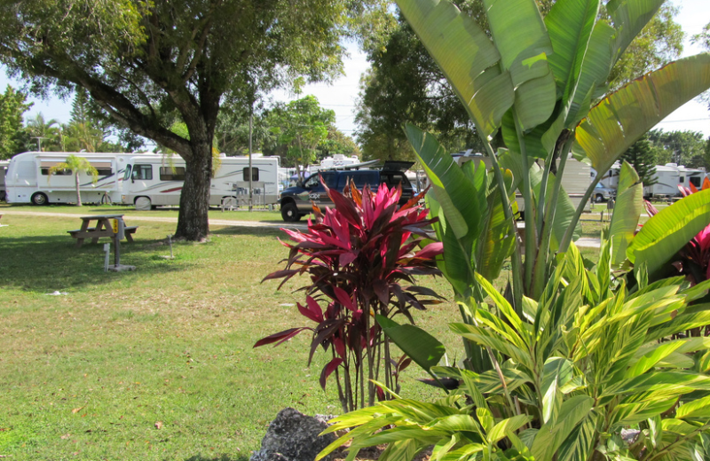 RV campsite at Miami Everglades.