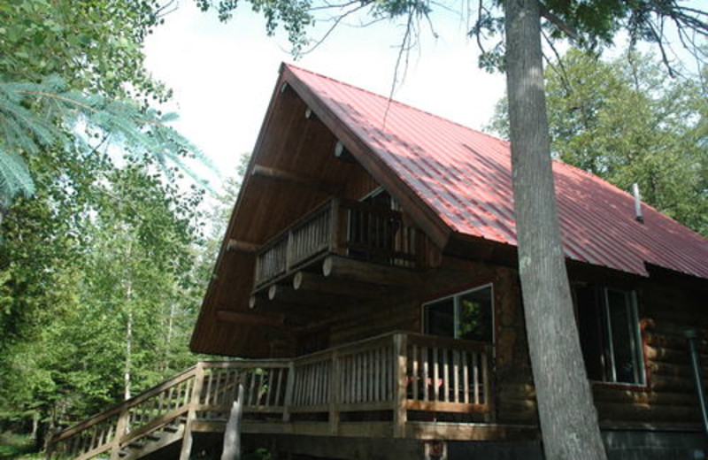 Exterior cabin view at Heston's Lodge.