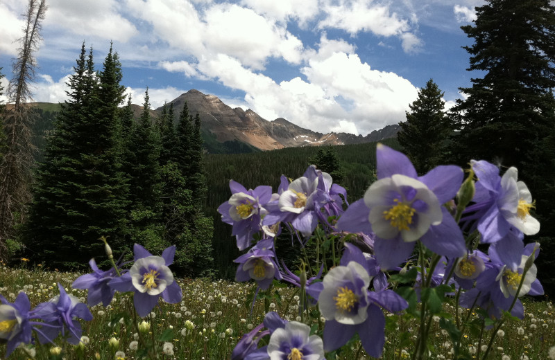 Scenic view at Echo Basin Cabin And RV Resort.