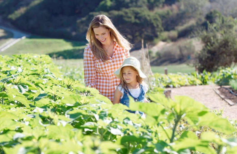 Organic Garden at Carmel Valley Ranch