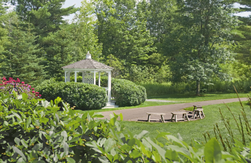 Walking path at Essex Resort & Spa.