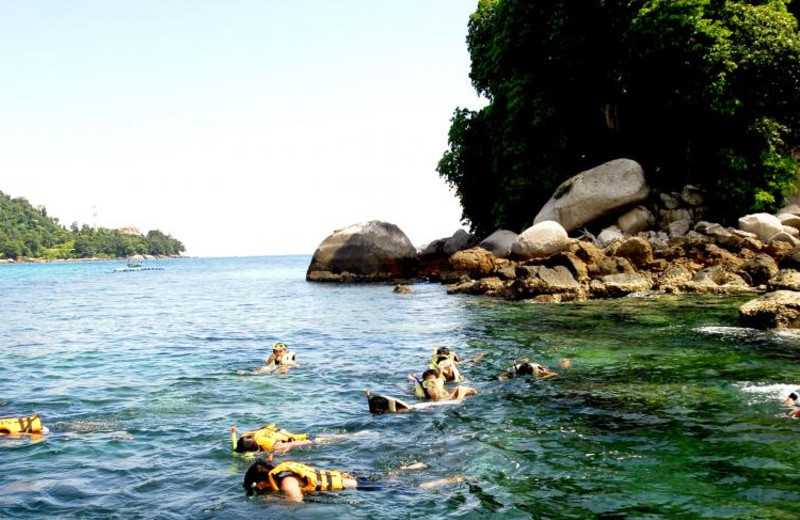 Snorkeling at Berjaya Tioman Beach Resort.