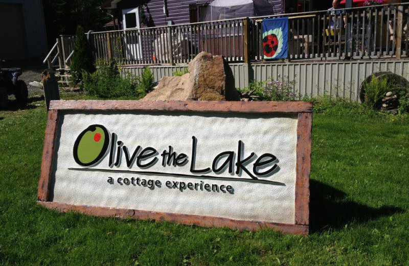 Welcome to Olive the Lake.