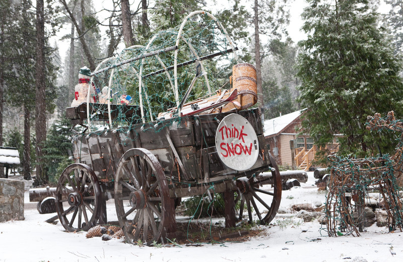 Holidays at Arrowhead Pine Rose Cabins.