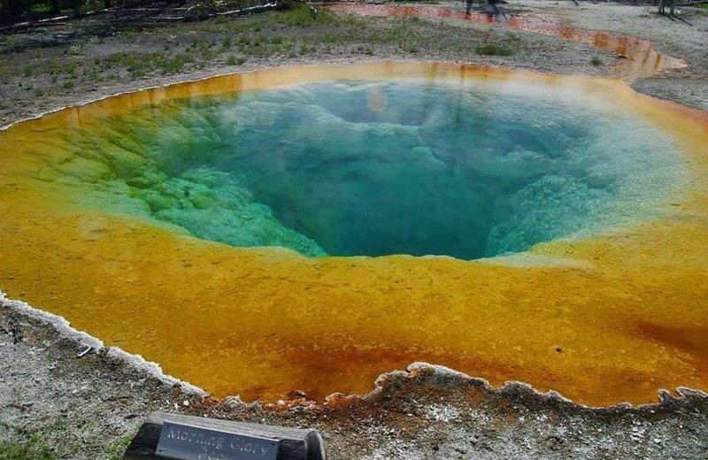 Yellow National Park geyser near Yellowstone Gateway Inn.