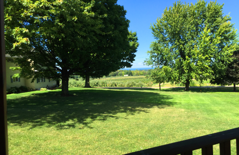 Grounds at Vineyard Bed & Breakfast.