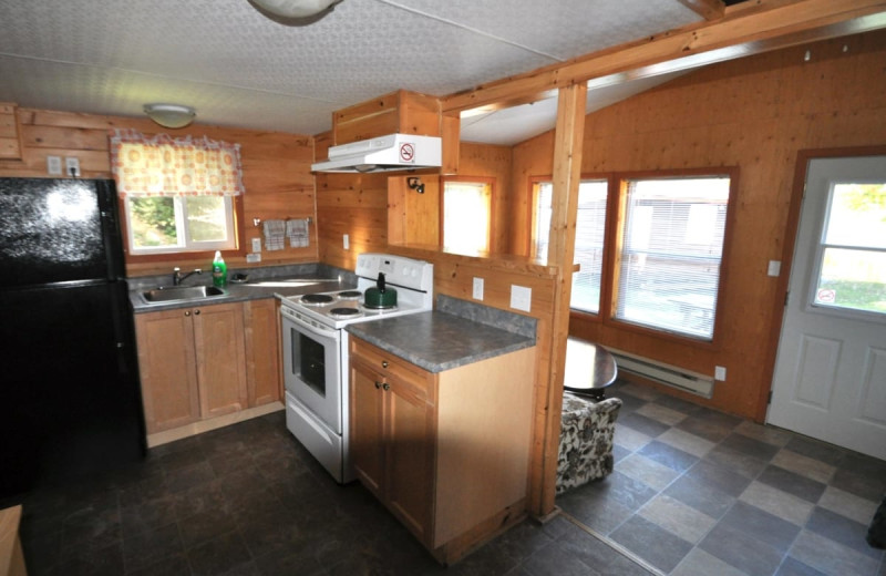 Cabin kitchen at Wolseley Lodge.