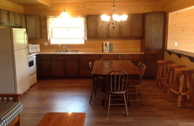 Cabin kitchen at Fernleigh Lodge.