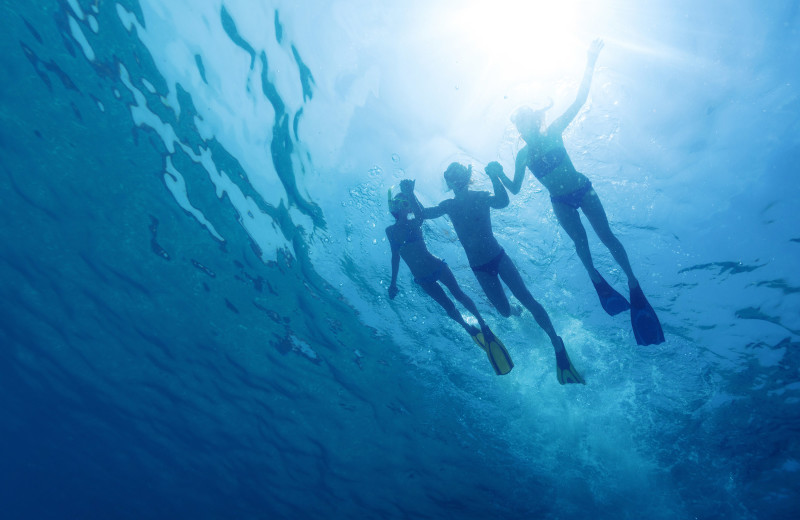 Diving near Lone Oak Lodge.