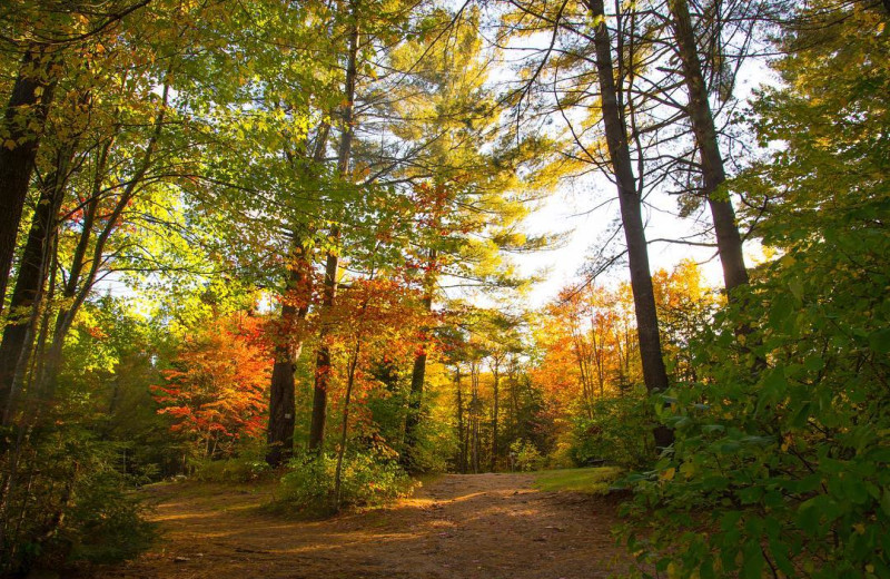Fall at Bonnie Lake Resort.