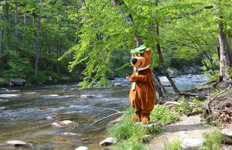 Fishing at Yogi in the Smokies.