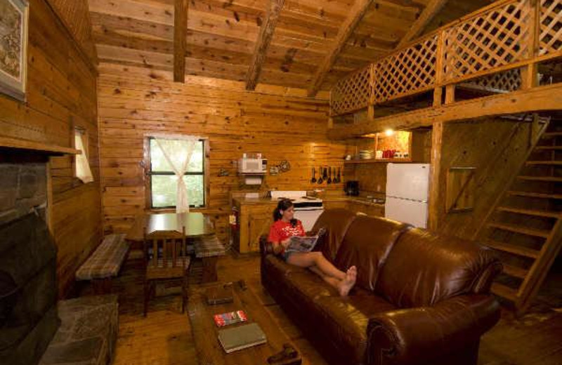 Cabin living room at Buffalo River Outfitters.