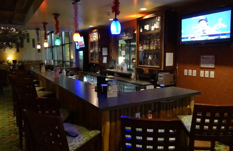 Bar view at Maui Sands Resort & Indoor Waterpark.