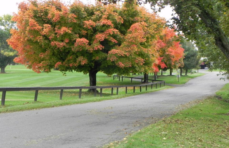 Golf course at Shenvalee Golf Resort.