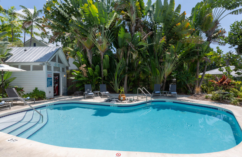 Outdoor pool at The Paradise Inn.
