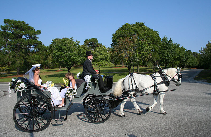 Wedding carriage at Beau Rivage Golf & Resort.