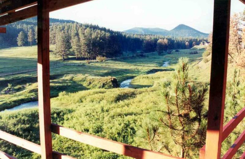 View from at Black Hills Cabins & Motel at Quail's Crossing.