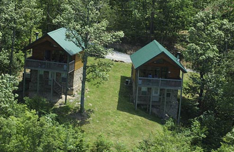 Vacation Rental at Volunteer Cabin Rentals