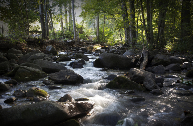 Stream at Big Pine Trout Farm.