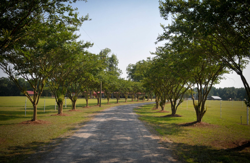 Path at Buckhead Ranch.