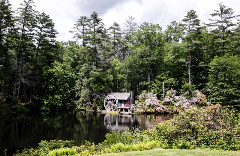 Exterior view of High Hampton Resort.