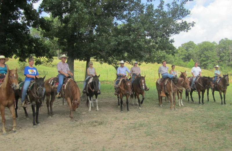 Horseback riding at Rockin Z Ranch.