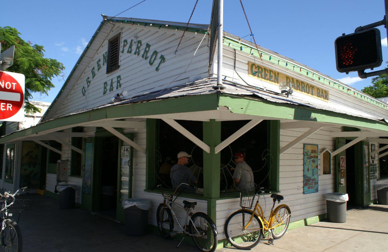 Green Parrot Bar near The Banyan Resort.