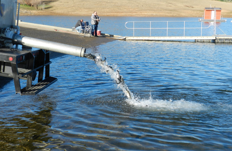 Fishing at Lake Don Pedro.