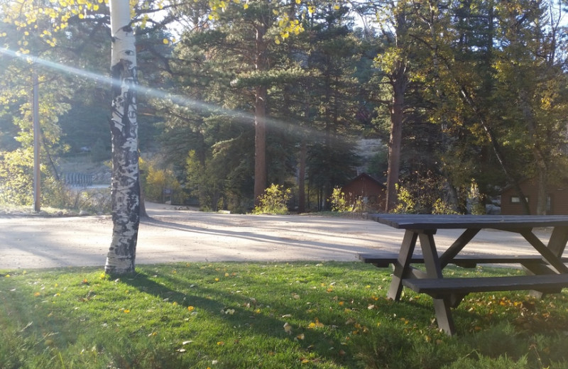 Picnic at Glacier Lodge.