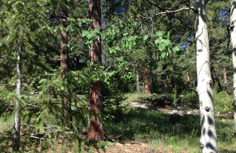 Grounds at Meadow Creek Lodge and Event Center.