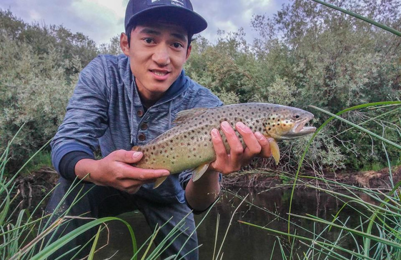 Fishing at Montana Guest Cabins.