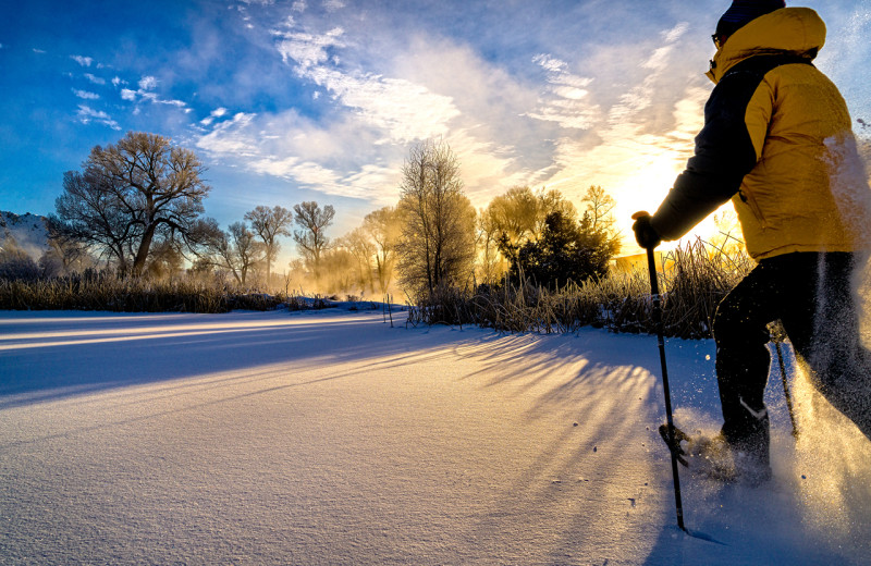 Snow shoeing at Fernleigh Lodge.