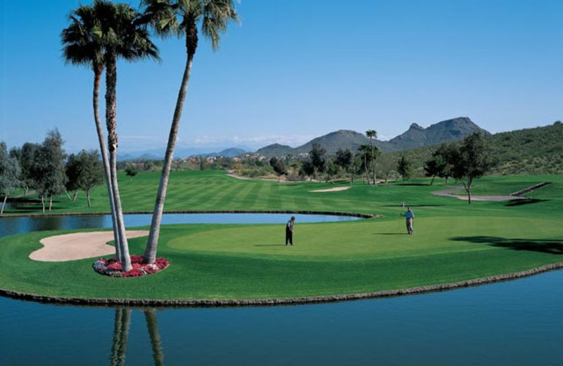Golf Course at Pointe Hilton Tapatio Cliffs Resort