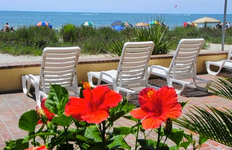 Beach View With Lounge Chairs at Sea Mist Oceanfront Resort