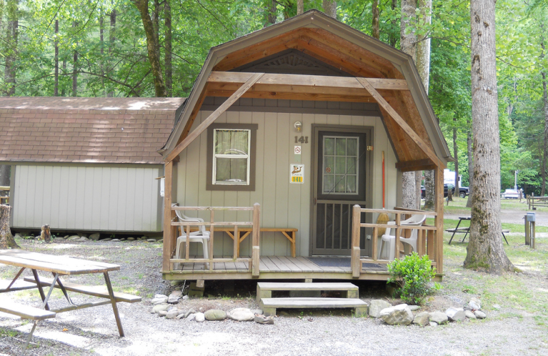 Cabin exterior at Yogi Bear's Jellystone Resort Cherokee.