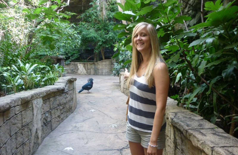 Tropical courtyard at Cairn Croft Best Western Plus Hotel.