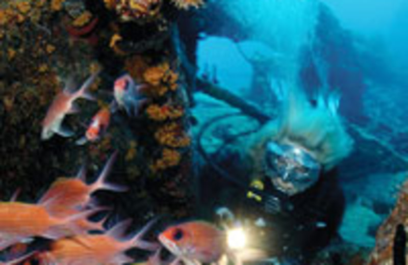 Diving at Long Bay Beach Resort