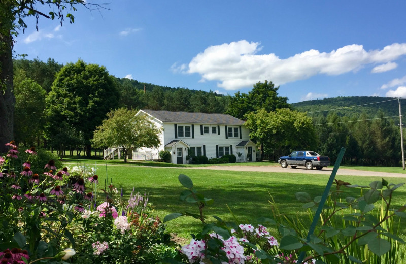 Exterior view of Filigree Inn.