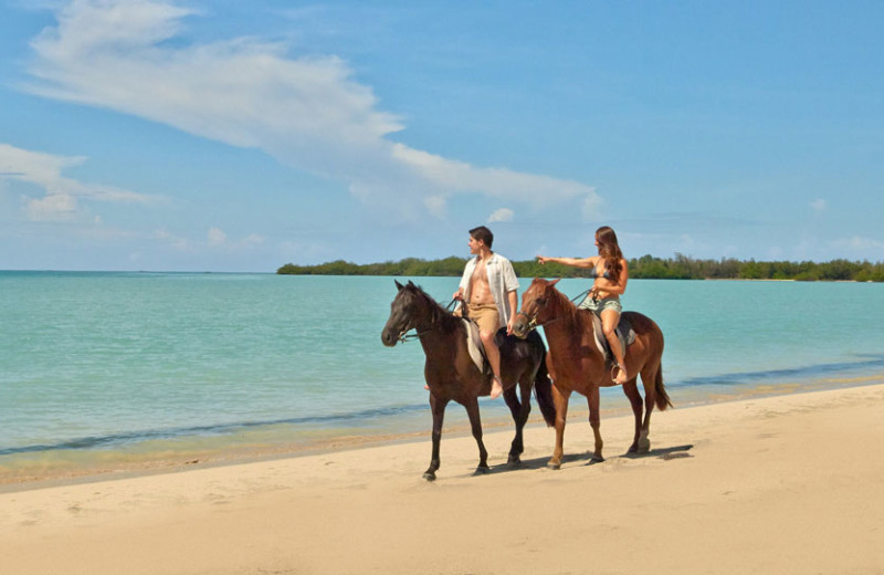 Horseback riding on the beach at Bluefields Bay Villas.