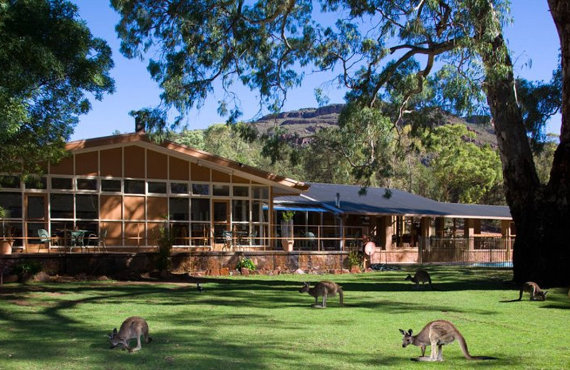 Exterior view of Wilpena Pound Resort.