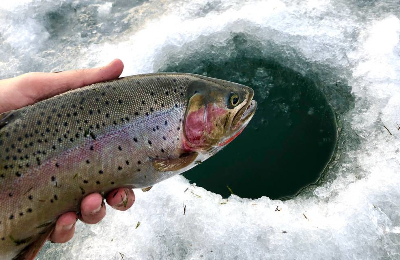 Ice fishing at North Shore Lodge & Resort.