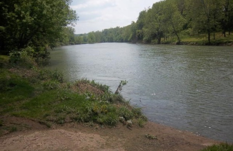 River at Papa Bear's River Cabin.