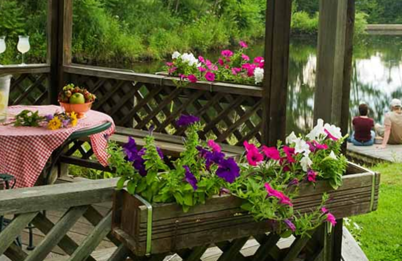 Gazebo picnic view at Rabbit Hill Inn