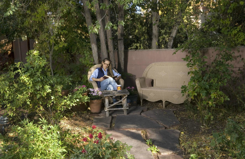 Garden at Alexander's Inn Bed 